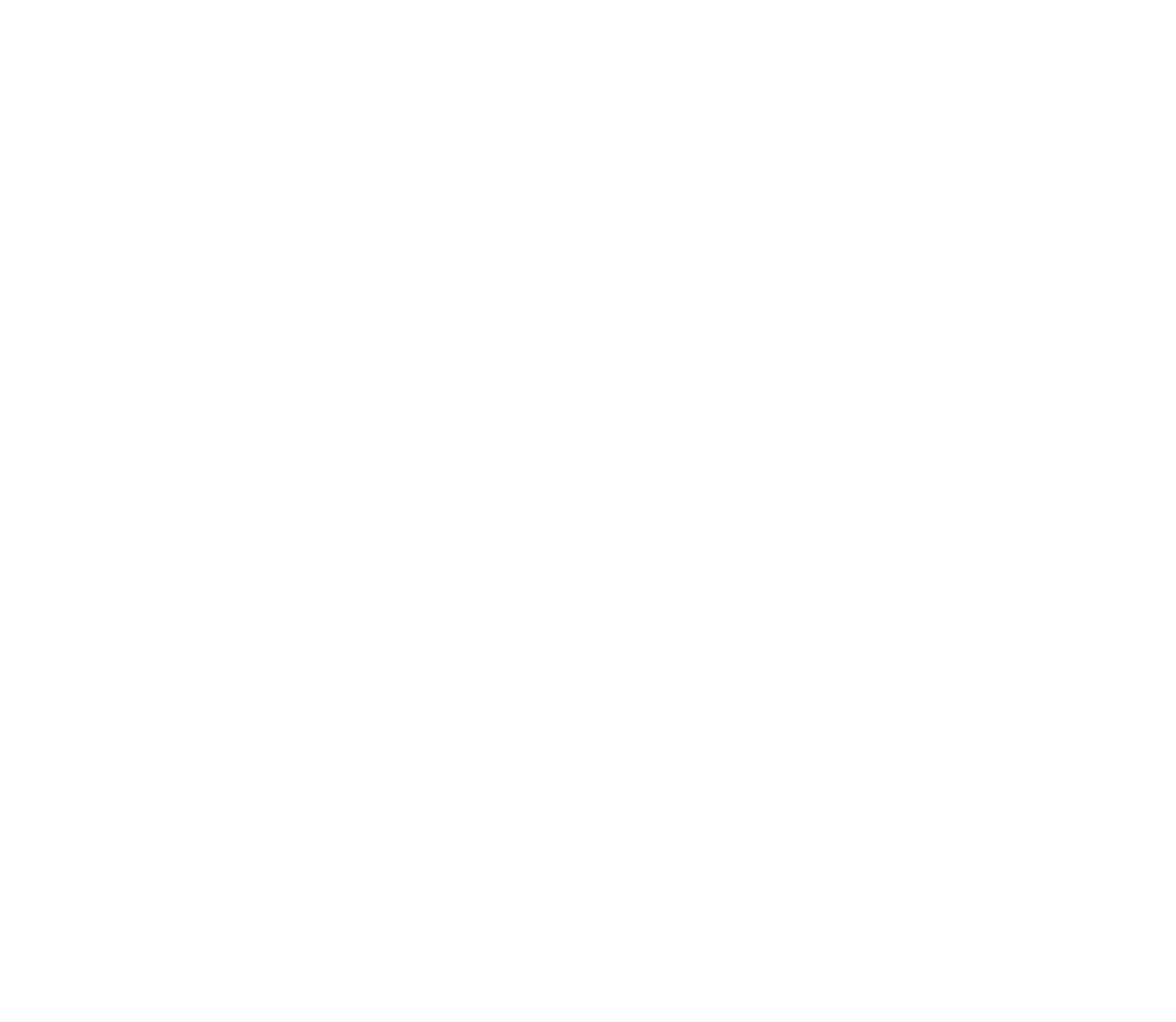 瑞华智策